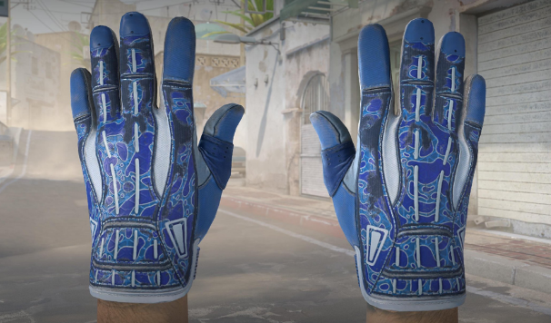 运动手套（★）丨双栖（久经沙场）￥1014